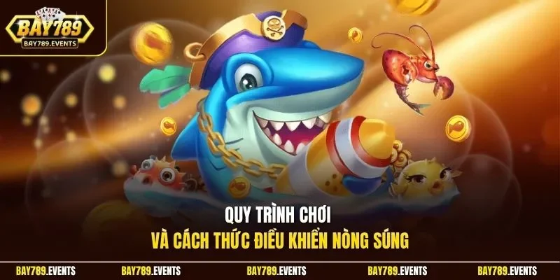 Quy trình chơi và cách thức điều khiển nòng súng