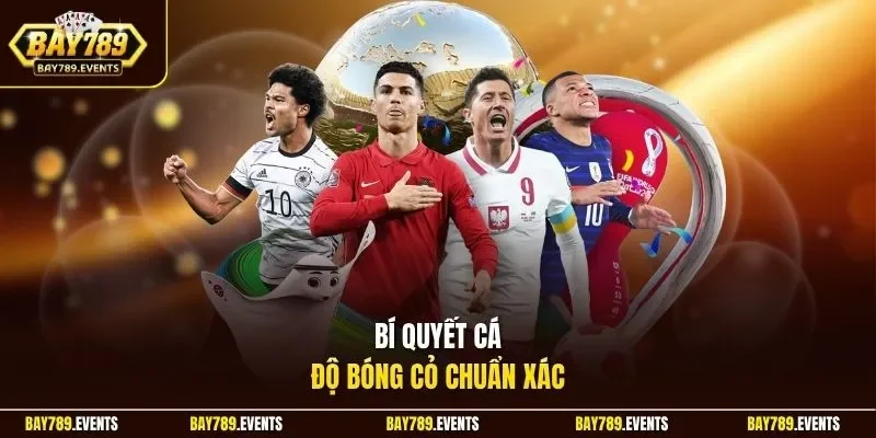 Bí quyết cá độ bóng cỏ chuẩn xác