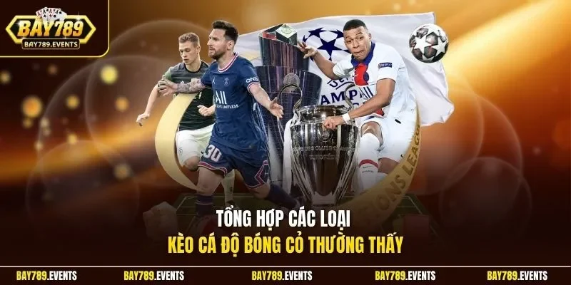 Tổng hợp các loại kèo cá độ bóng cỏ thường thấy