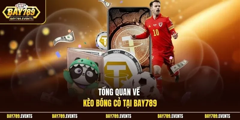Tổng quan về kèo bóng cỏ tại Bay789